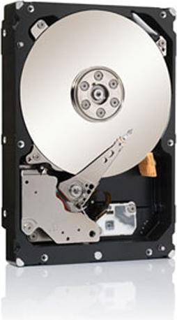 Productafbeelding Seagate 1TB 64MB 7200RPM 24x7 (1 TB, 3.5")