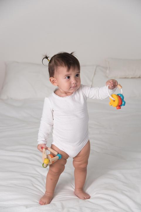 Actual product image Plantoys Baby key