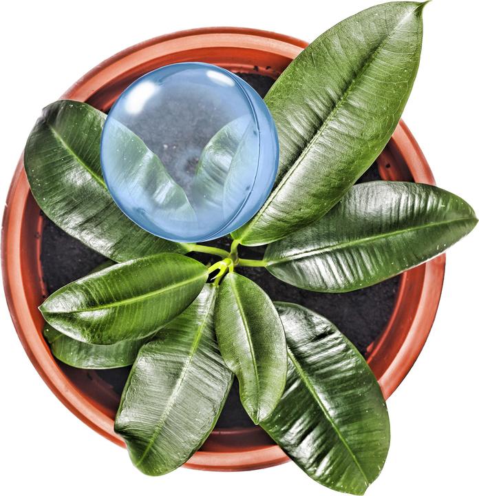 Image du produit Relaxdays 5x boules d'irrigation (Boules d'arrosage)