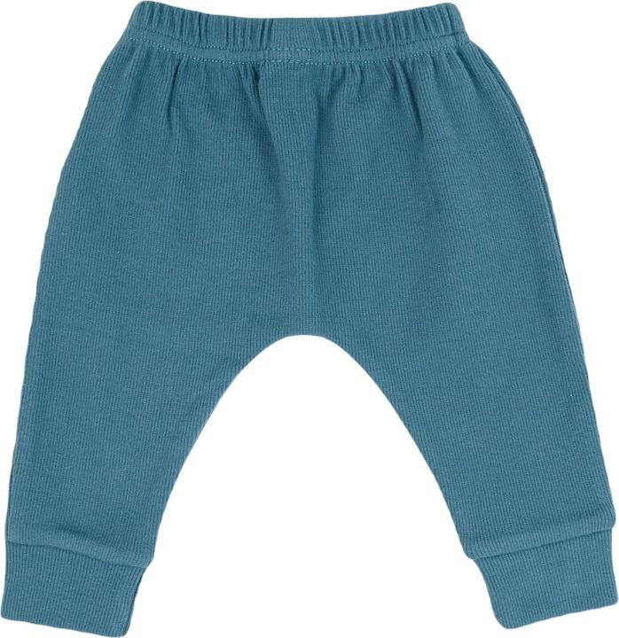Actual product image Lodger Nomad Rib Jogger (68)