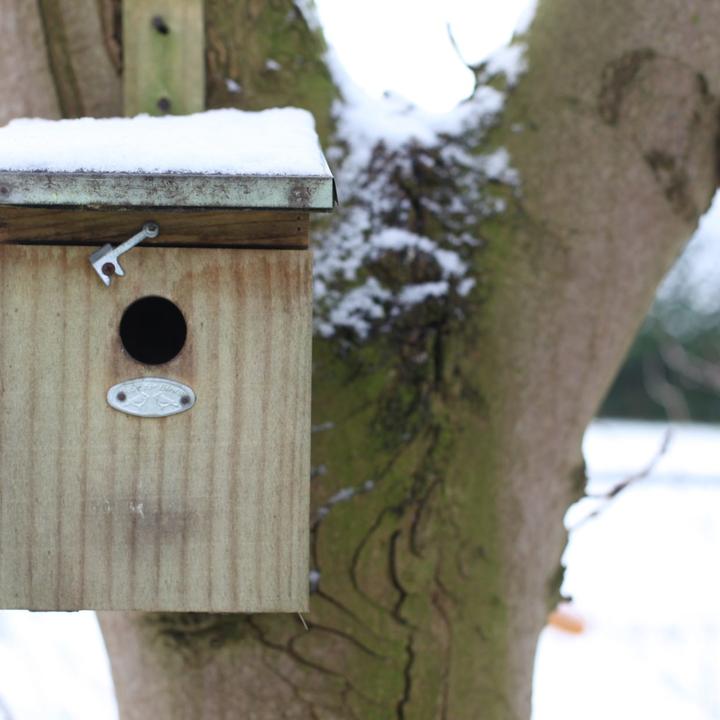 Actual product image Westfalia Great Tit Nest Box