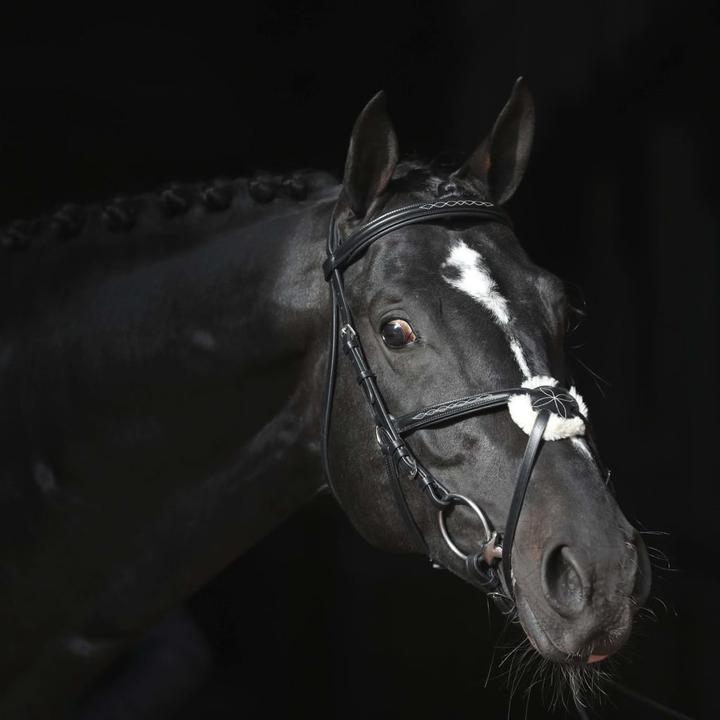 Produktbild Kerbl Trensenzaum Cancun schwarz, Pony