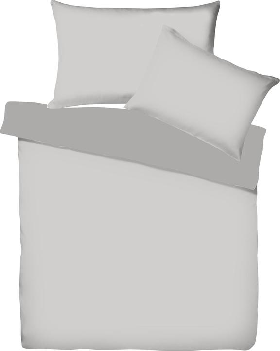 Silber, Schiefer