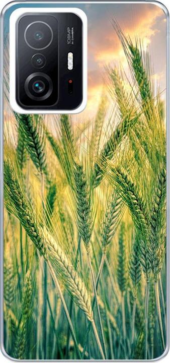 Cornfield