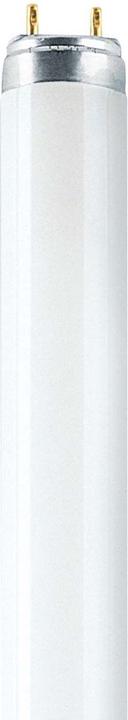 Actual product image Osram Fluorescent tube (G13, 18 W, 1300 lm, 1 x, G)