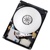 Image du produit Lenovo HDD 250GB SATA 7.2K 3.5" (0.25 To, 3.5")