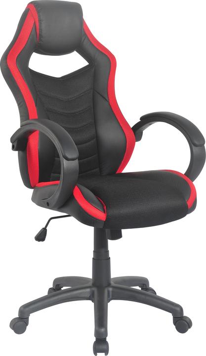 Actual product image Homexperts Hornet