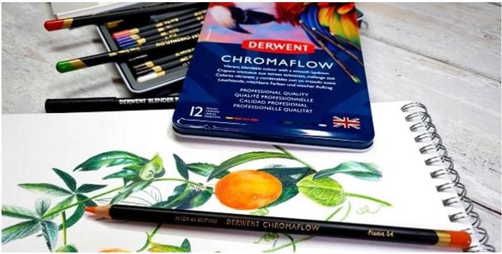 Actual product image Derwent Chromaflow coloured pencils (Blush Pink, Fleming, Natural Brown, Scarlet, grass green, Denim, Sun Yellow, Blue, Basil, Black, Lilac, White, 12 x)