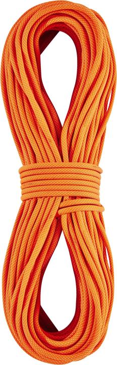 Actual product image Petzl Paso Guide rope 7,7 mm x 70 m (70 m)