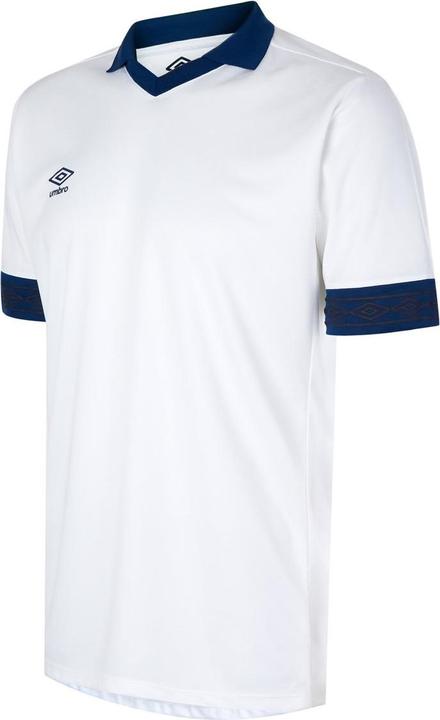 Bianco, Blu marino