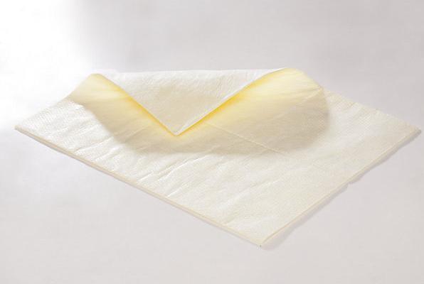 Produktbild kaiserkraft PRO Bindevlies für Chemikalien (100 Stk.)