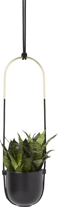 Actual product image Umbra Bolo (15 cm)
