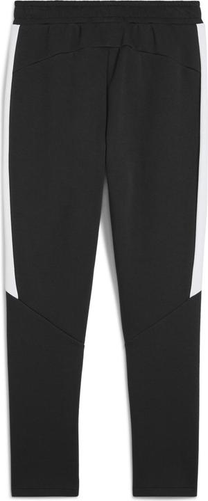Image du produit Puma teamEVOSTRIPE Pants (XXL)