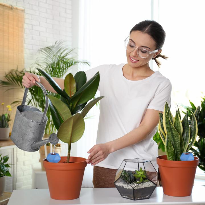 Produktbild Relaxdays 4x Bewässerungskugeln (Bewässerungskugeln)