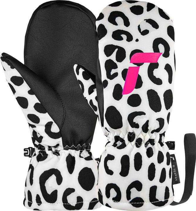 White, Grey Leopard