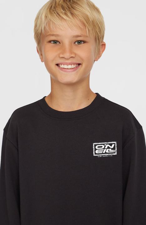 Image du produit O'Neill Logo Crew (104)