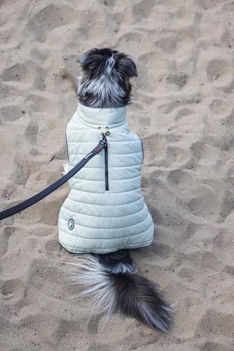 Immagine prodotto Beeztees Bz Cappotto Per Cani Bobby Taupe 52 (52, Cappotto per cani)