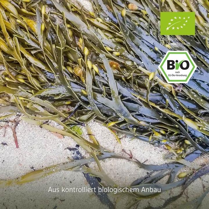 Produktbild Effective Nature Jod aus Bio-Kelp (180 Stück)