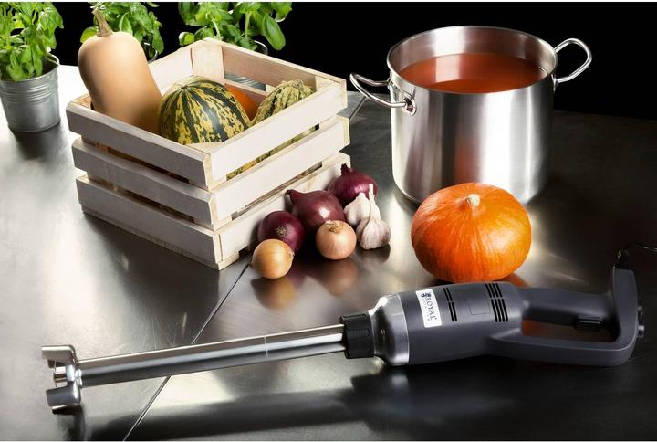 Produktbild Royal Catering Stabmixer Profi Gastro Pürierstab Handmixer 300 mm Edelstahl Mixstab Mixer 350W