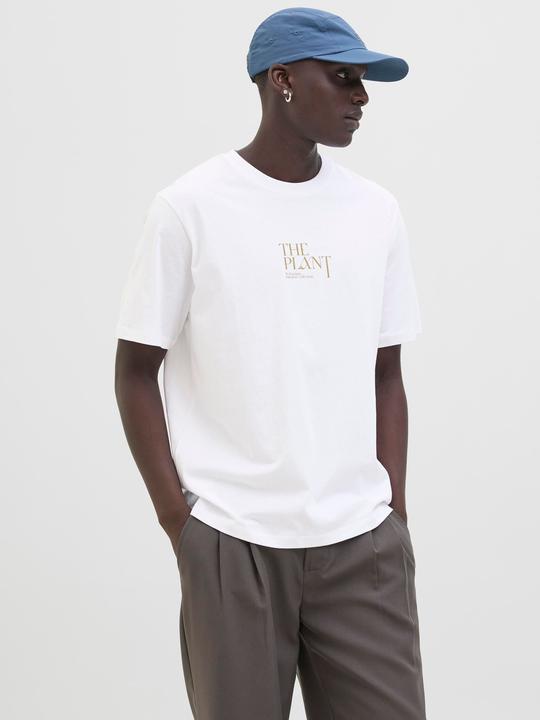 Actual product image Jack & Jones Jorbradley Herbarium Tee Ss C.N Stmss25 (XL)