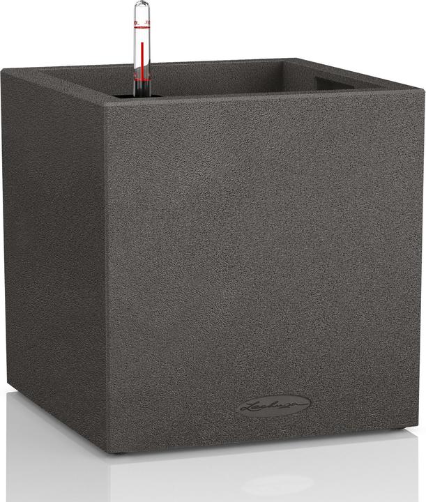 Produktbild Lechuza Canto Color Würfel (30 cm)