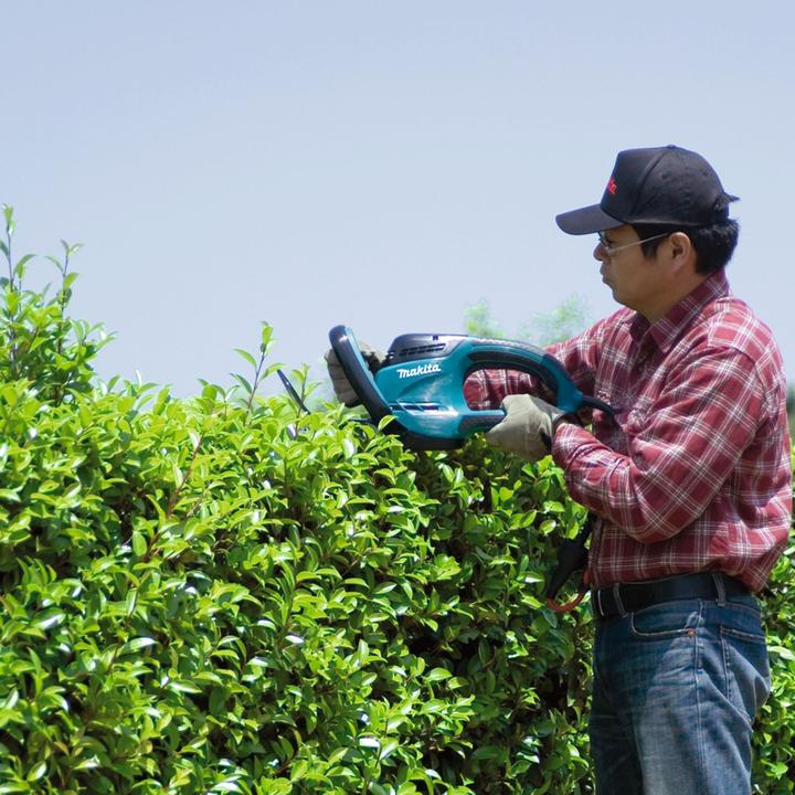 Image du produit Makita UH6580 (Taille-haie électrique)
