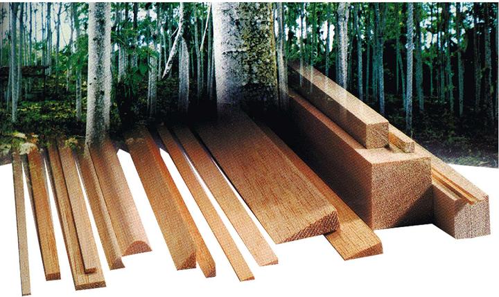 Actual product image Aigner Balsa pine strip 5/20mm/1lfm