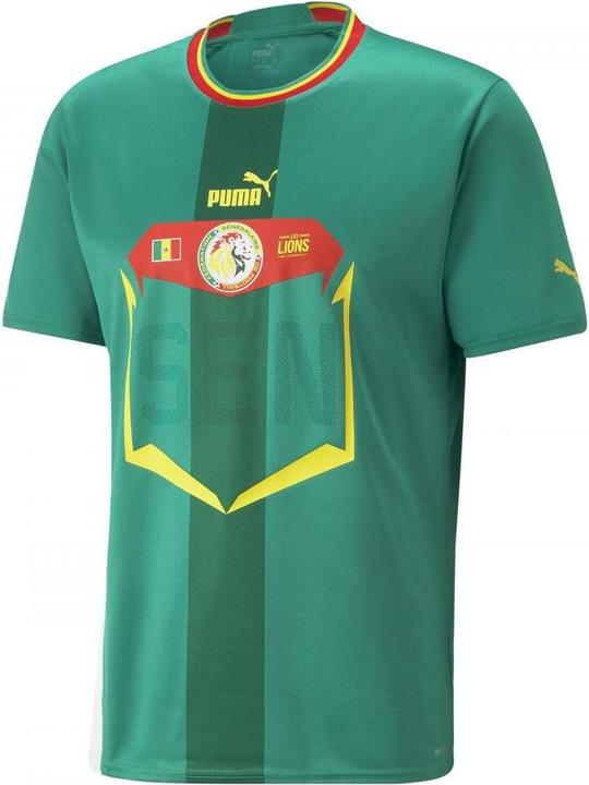 Puma FSF Away Jersey Replica (S)
