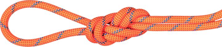 Produktbild Mammut 7.5 Alpine Sender Dry Rope 60m (60 m)