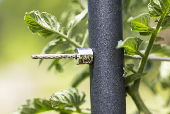 Produktbild Windhager Edelstahlseil-Rankhilfe 100x118cm (118 cm, 100 cm)