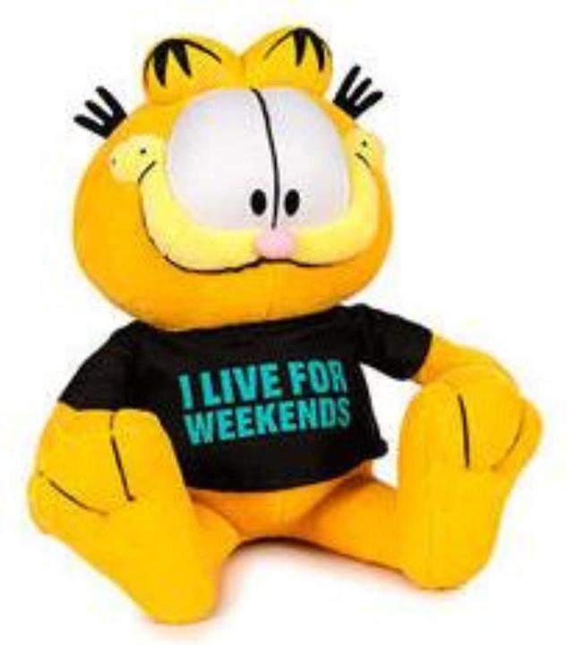 Produktbild Tinisu Garfield Kuscheltier - 30 cm PlÃ¼schtier weiches Stofftier (30 cm)
