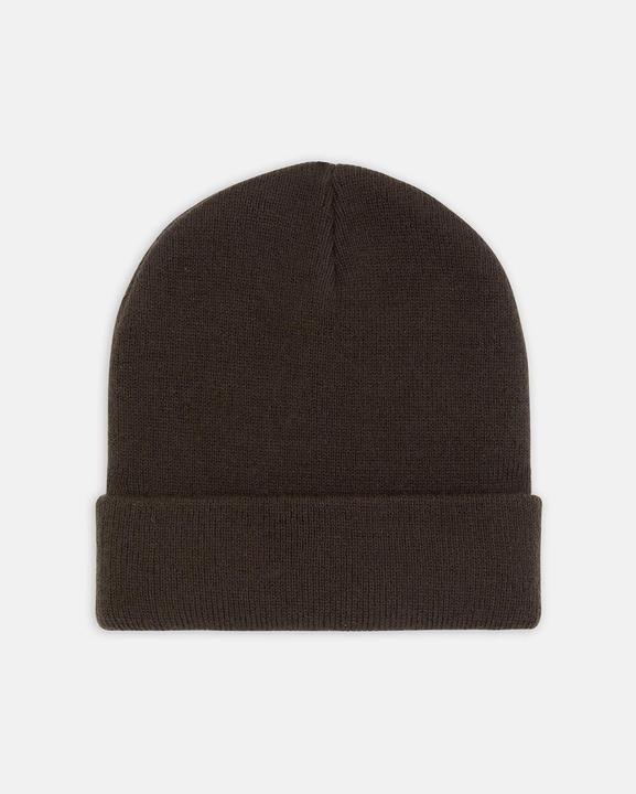 Actual product image Dickies Gibsland Beanie Dark Brown
