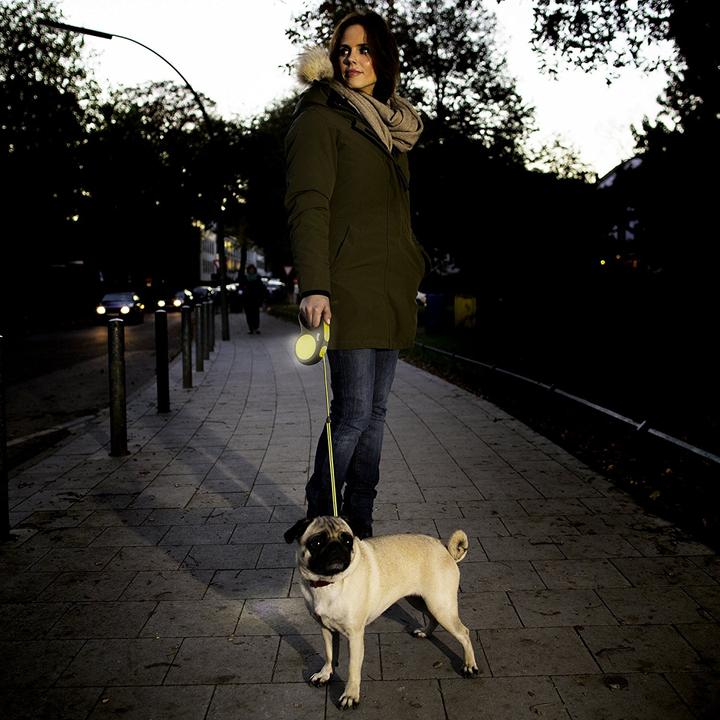 Actual product image Flexi new neon (S, Dog, Walks)