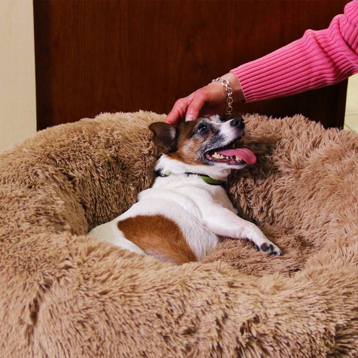 Produktbild MediaShop Peaceful Pooch M (Hund, Katze)