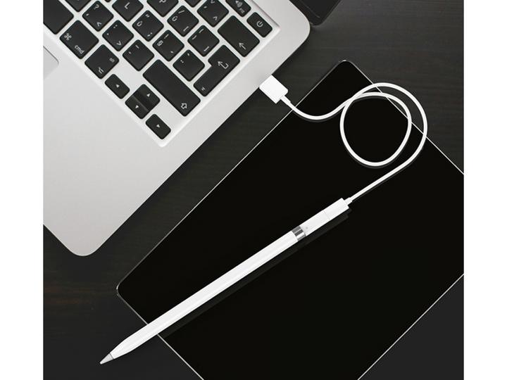 Immagine prodotto PowerGuard Adattatore di ricarica Lightning (Lightning, Lightning)
