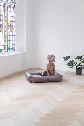 Produktbild Designed by Lotte Unnay (Hund)