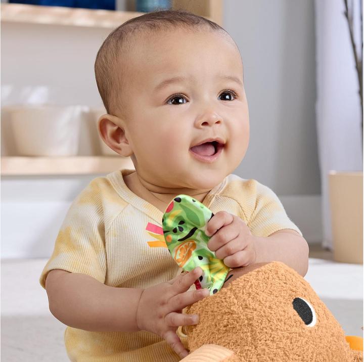 Productafbeelding Fisher-Price Kuschel-Capybara (24.10 cm)