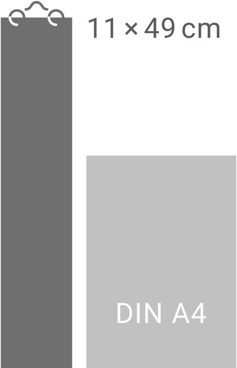 Image du produit times&moreTagevollerGlückLangplaner2026 (11 x 49 cm, Allemand)