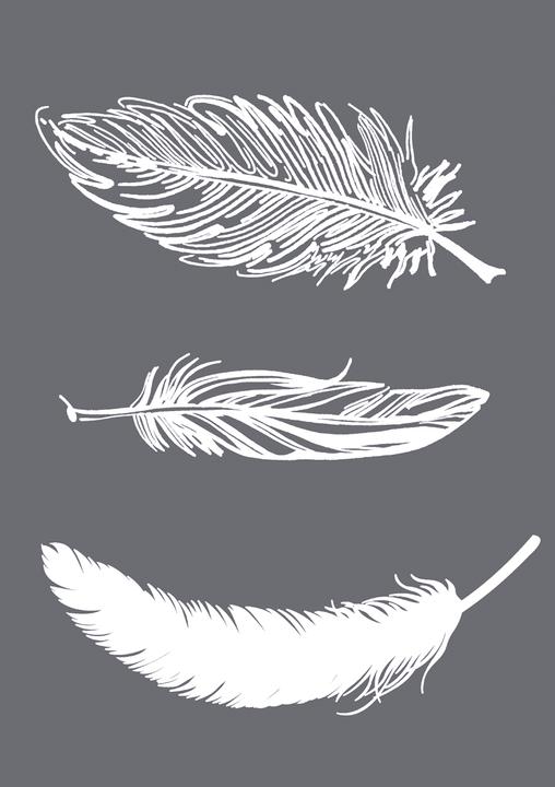 Image du produit Rayher Pochoir: plumes, 1 pièce