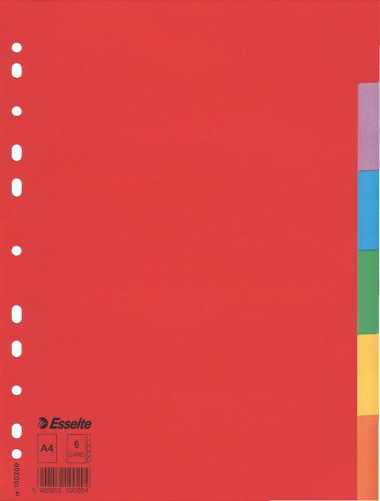 Actual product image Esselte Indice cardboard blank Economy