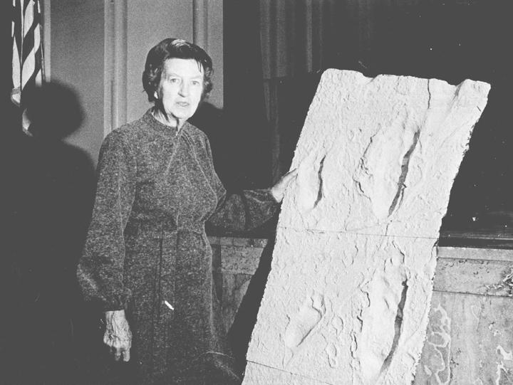 Produktbild Fake History – Hartnäckige Mythen aus der Geschichte (Deutsch, Jo Hedwig Teeuwisse, Ralf Pannowitsch, 2023)