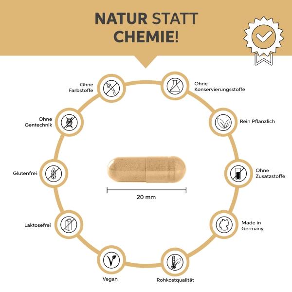 Produktbild Eltabia Flohsamenschalen (200 Stück, Kapseln)