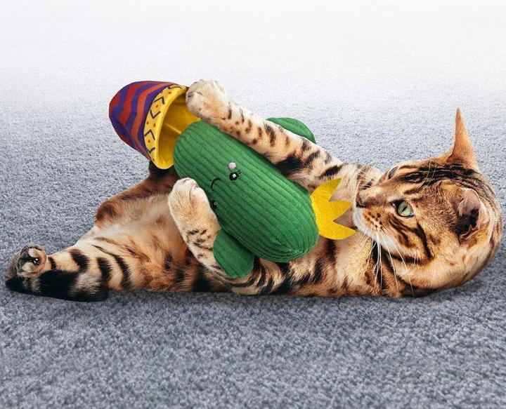 Actual product image KONG Wrangler Cactus 21.5 X 13 X7.5Cm (Catmint toy)