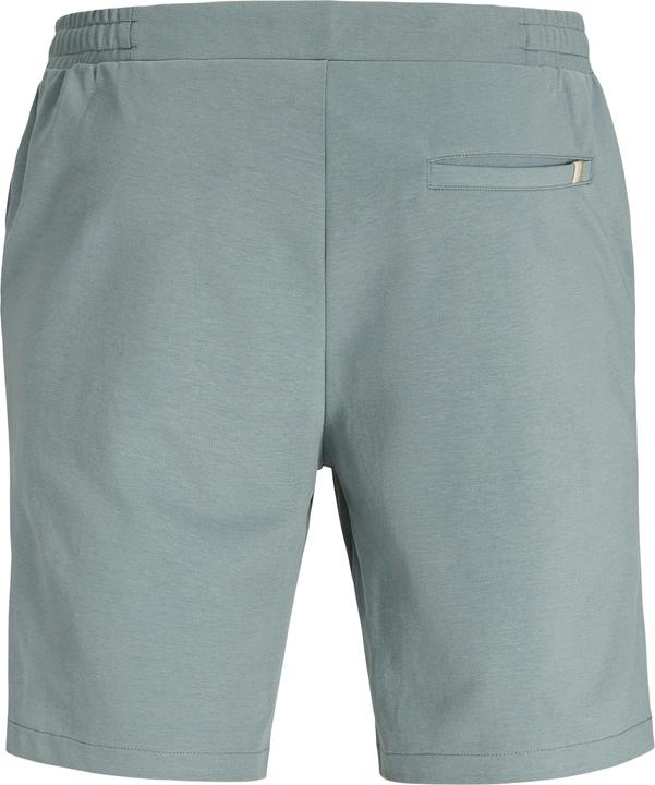 Actual product image Jack & Jones Shorts NEILAND Chino-Shorts (L)