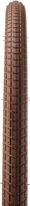 Actual product image Schwalbe Little Big Ben (28 x 1.50, 40-622)