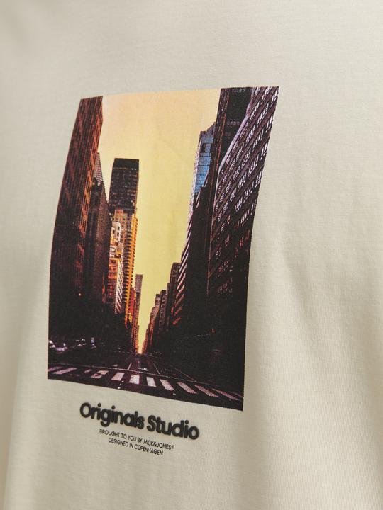 Produktbild Jack & Jones Jorvesterbro Picture Tee Ss Crew Neck Sn (L)