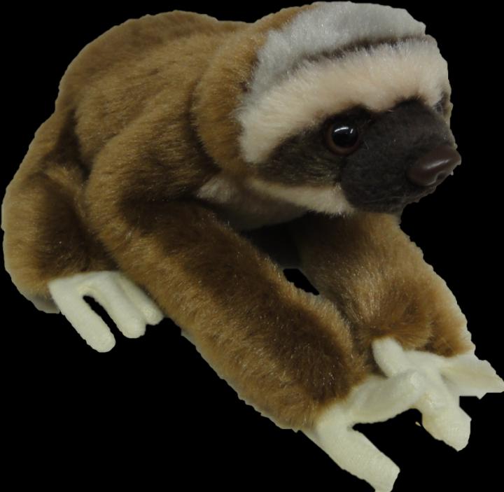 Actual product image National Geographic Baby Sloth 17 cm