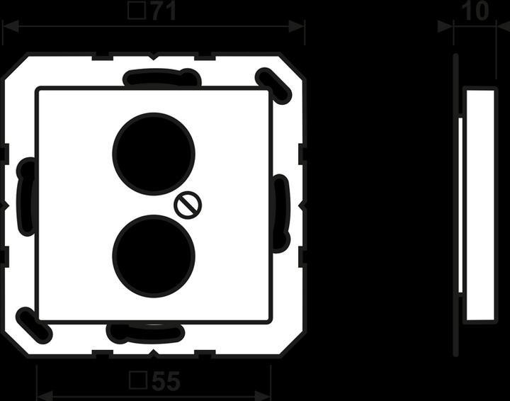 Actual product image JUNG Central plate LS 2f A champ glz A562-2CH
