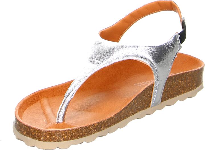 Actual product image Verbenas REAGAN Plata (41)