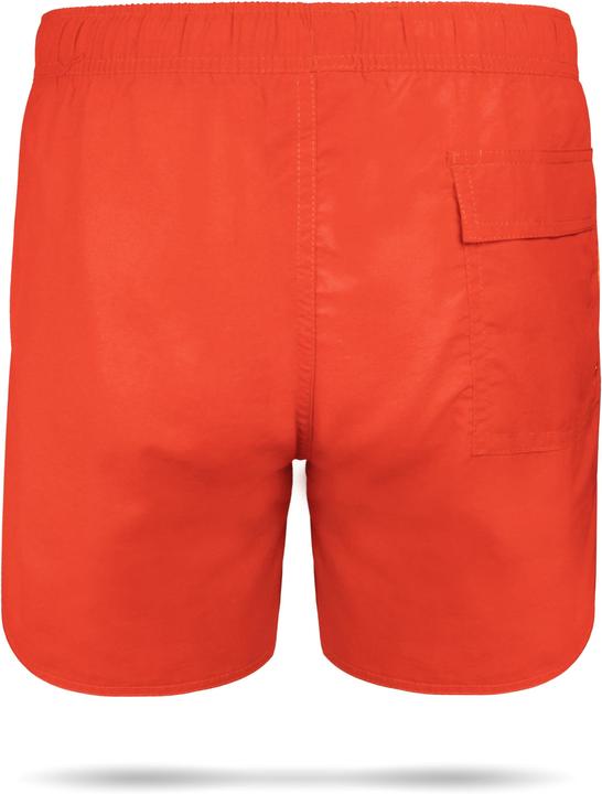 Actual product image Normani Coastline swim shorts (L)